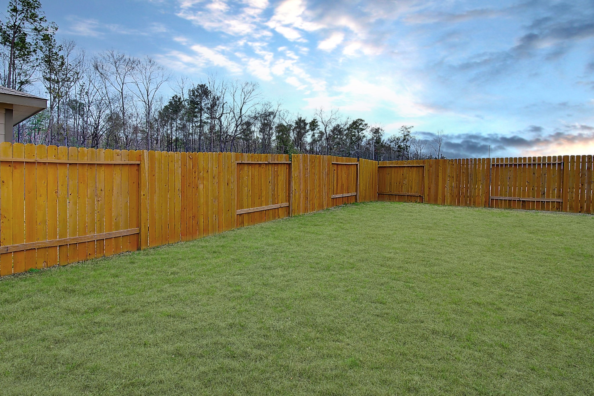 14468 Conifer Drive Conroe, TX 77302 - Photo 21 of 21 a view of a backyard