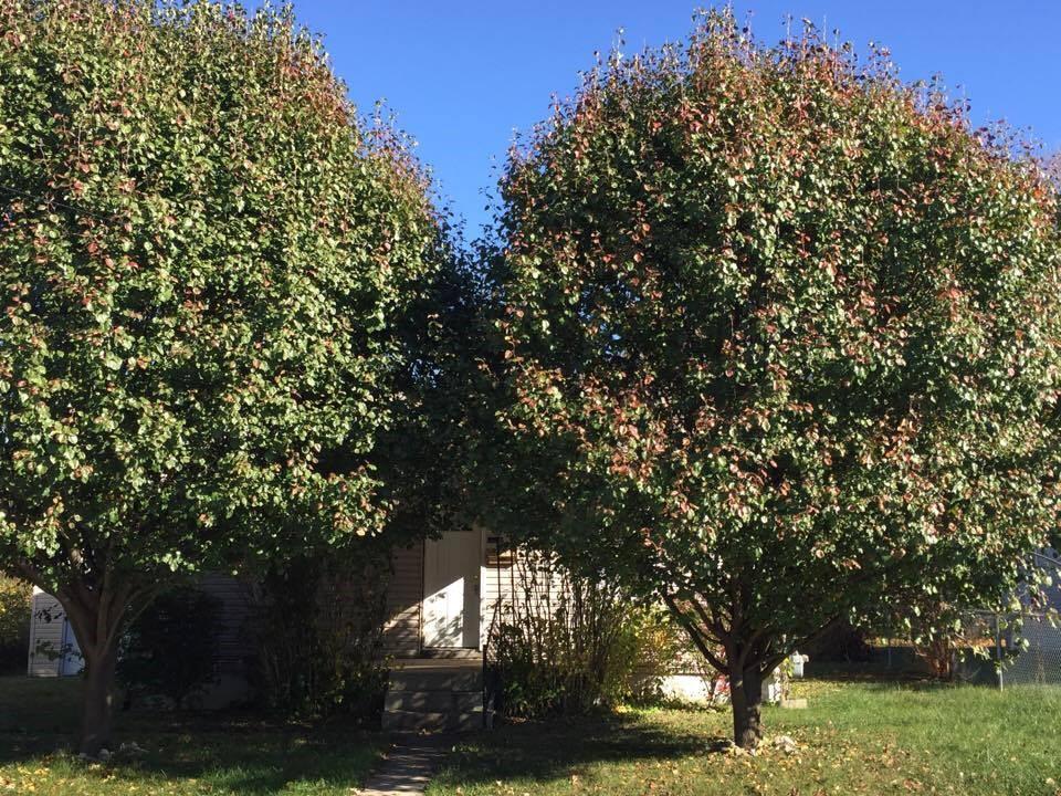 126 4th Springfield, OH 45505 - Photo 3 of 3