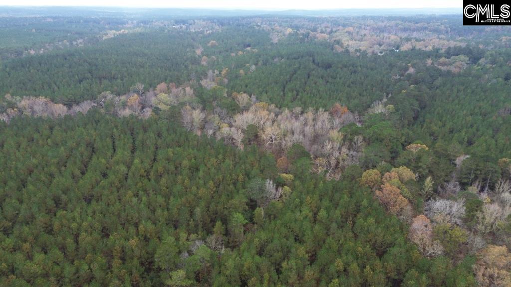 Old Cherokee Road Blair, SC 29015 - Photo 6 of 18