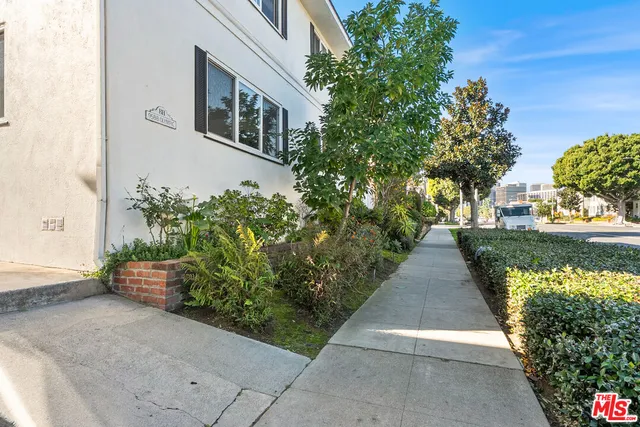 a view of a pathway with flower plants