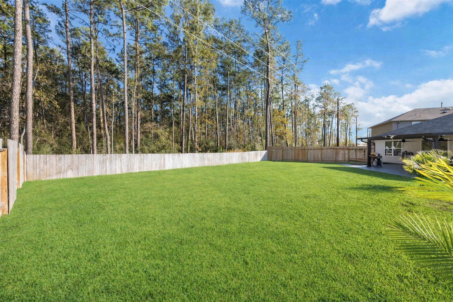 24034 Sunview Vly Drive Spring, TX 77373 - Photo 9 of 43 Backyard – Lifestyle View
Whether envisioned as a quiet garden, play space, or future entertaining area, the expansive lawn paired with a natural tree line delivers a sense of privacy and retreat rarely found in newer homes. A setting that adapts effortlessly to your lifestyle.