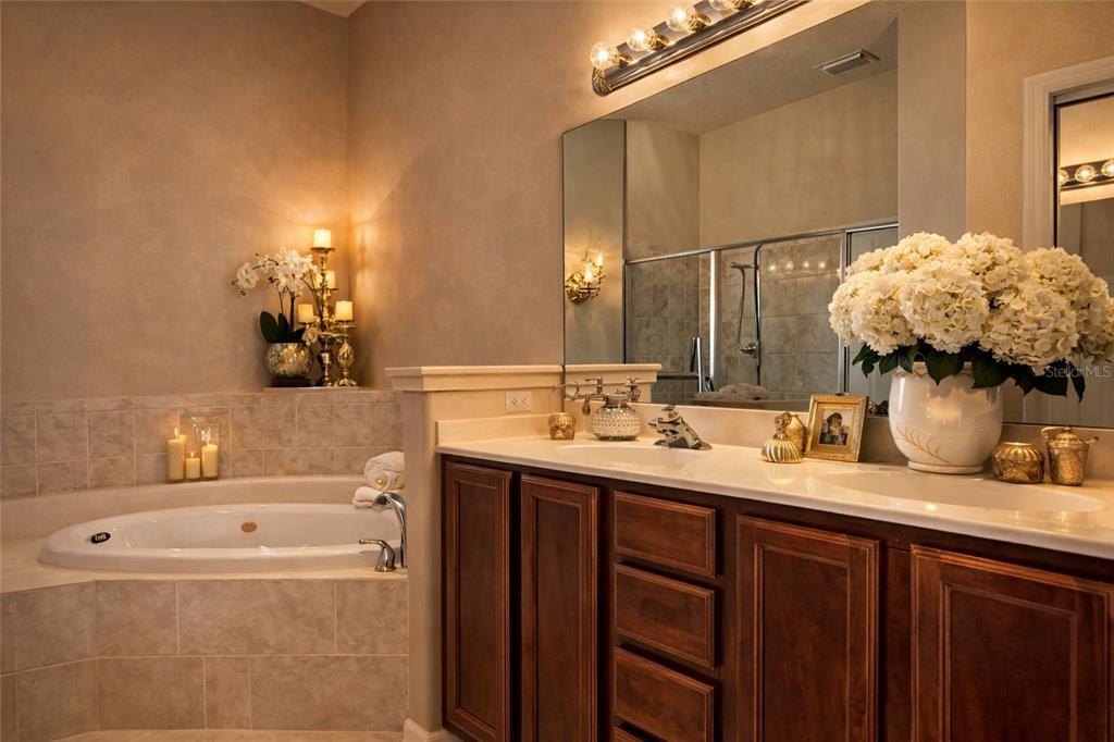 6002 Renaissance Court St. Cloud, FL 34772 - Photo 4 of 17