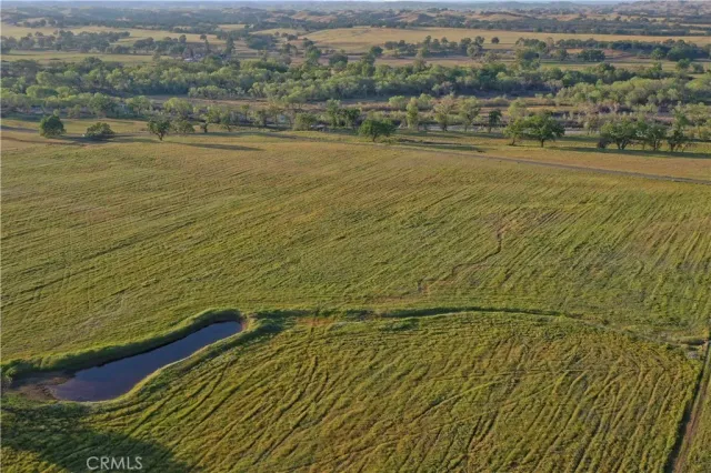 a view of park with wooden bench and bench