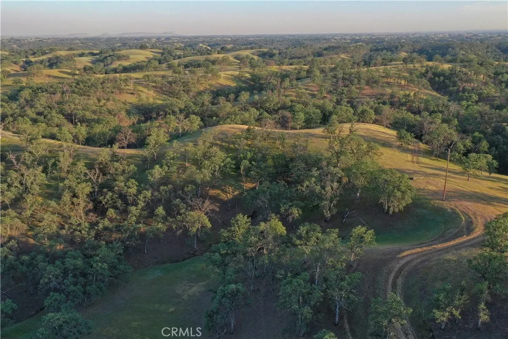 15385 Weston Road Corning, CA 96029 - Photo 44 of 75 an aerial view of residential houses with outdoor space and trees