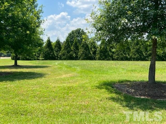 15 Tamaran Ct Spring Spring Hope, NC 27882 - Photo 26 of 29 a view of a field with an trees in the background