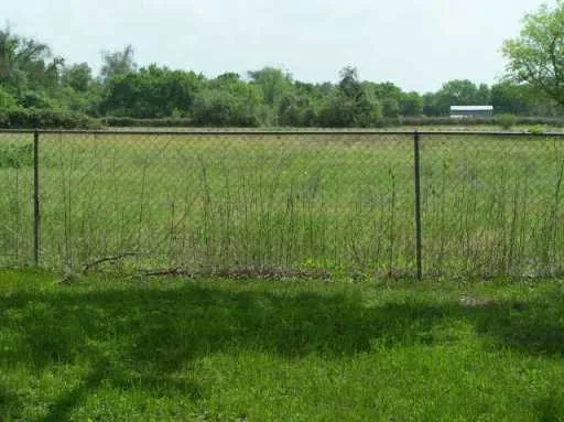 a view of a lush green field with a chair