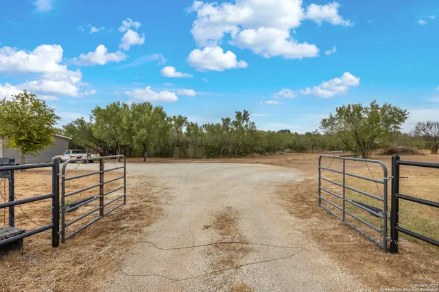 a view of backyard with trees