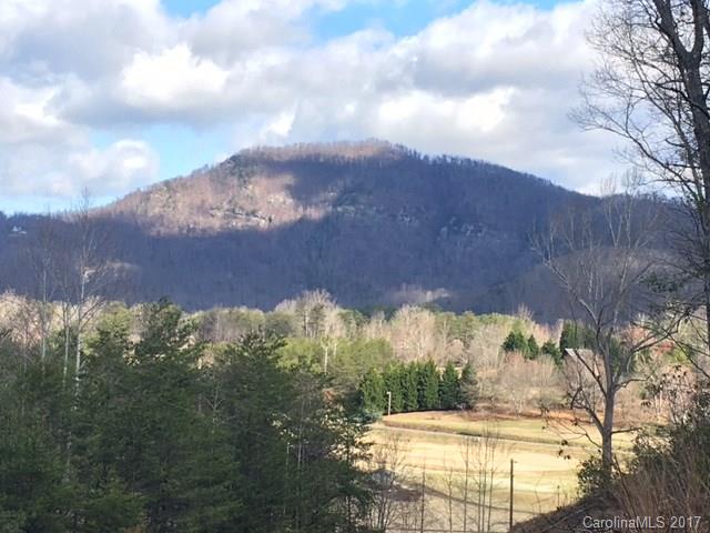 4.51 Messersmith Road Lake Lure, NC 28746 - Photo 2 of 9 a view of a yard