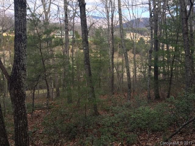 4.51 Messersmith Road Lake Lure, NC 28746 - Photo 4 of 9