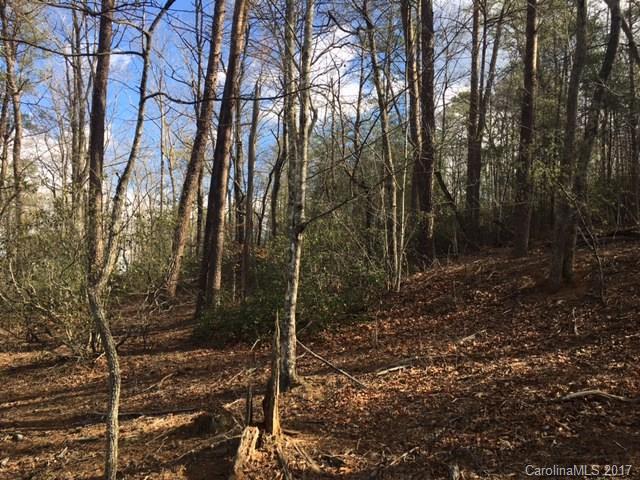 4.51 Messersmith Road Lake Lure, NC 28746 - Photo 5 of 9 a view of a forest