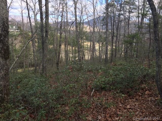 4.51 Messersmith Road Lake Lure, NC 28746 - Photo 7 of 9 a view of a forest with trees in the background