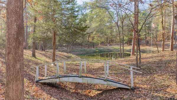 a view of a yard with trees