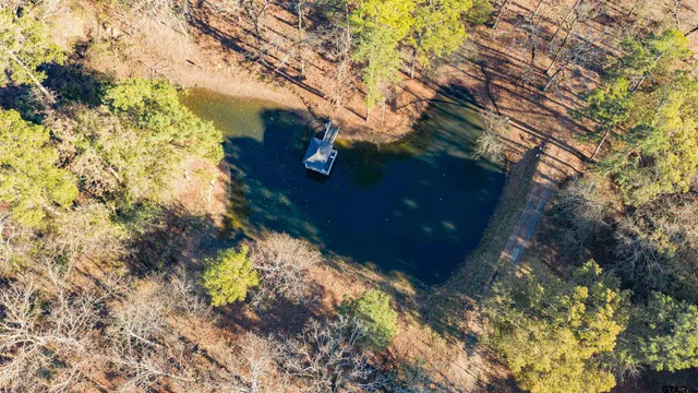 $550,000 | 3199 Farm To Market 2723, Mount Vernon, TX 75457