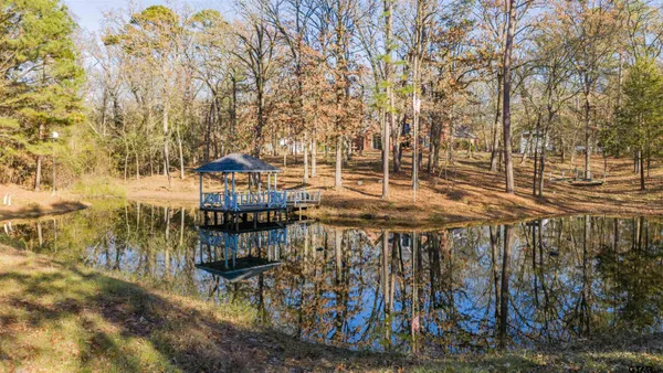 a view of a yard with trees