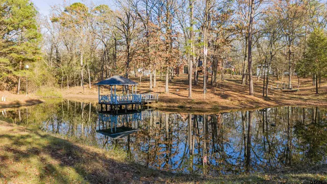a view of a yard with trees