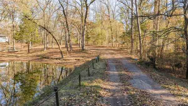 a view of outdoor space with garden