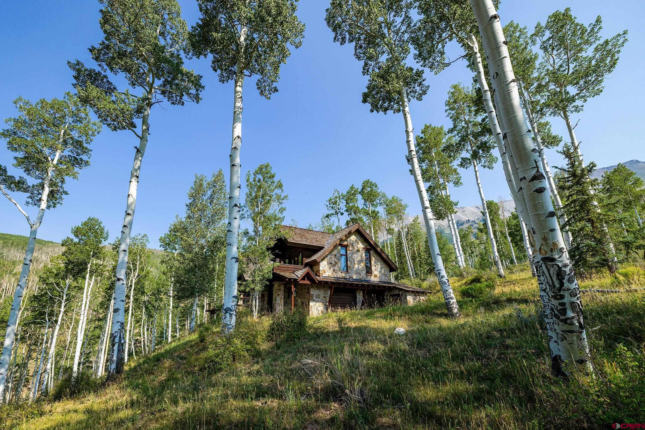 107 Joaquin Road Telluride, CO 81435 - Photo 41 of 45 Gallery Image 41