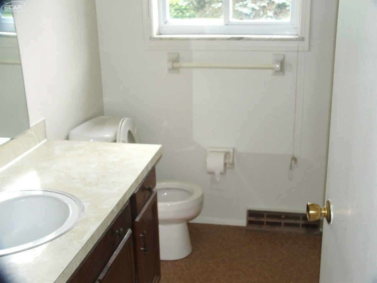 5028 Elms Road Flushing, MI 48433 - Photo 10 of 19 21351521-9.JPG