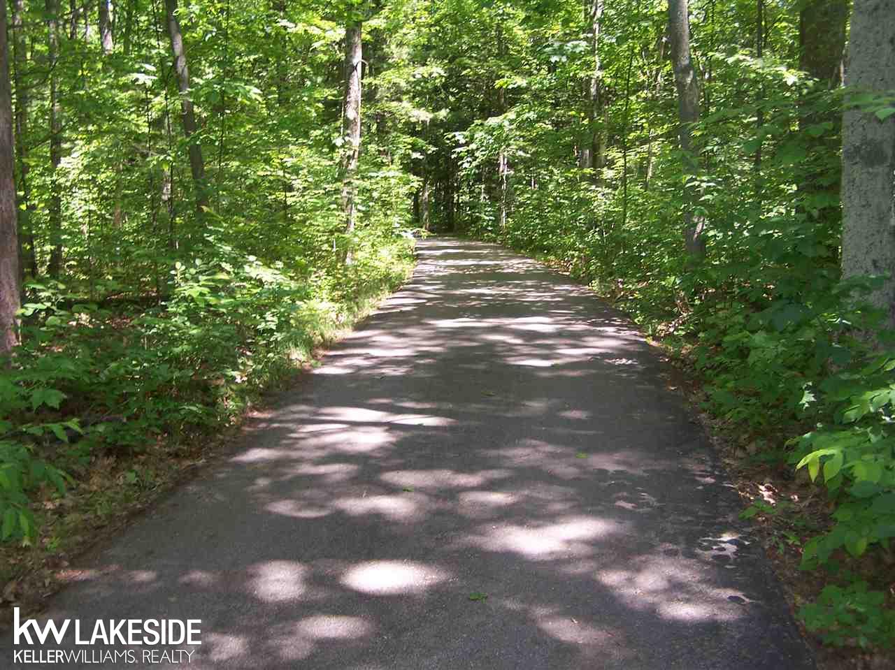 10333 Kay Ray Road Williamsburg, MI 49690 - Photo 6 of 69