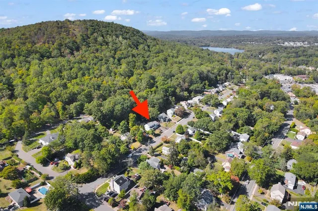 a view of a big yard with plants and flowers