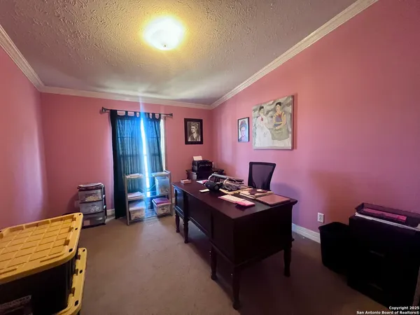 a backyard of a house with plants and trees