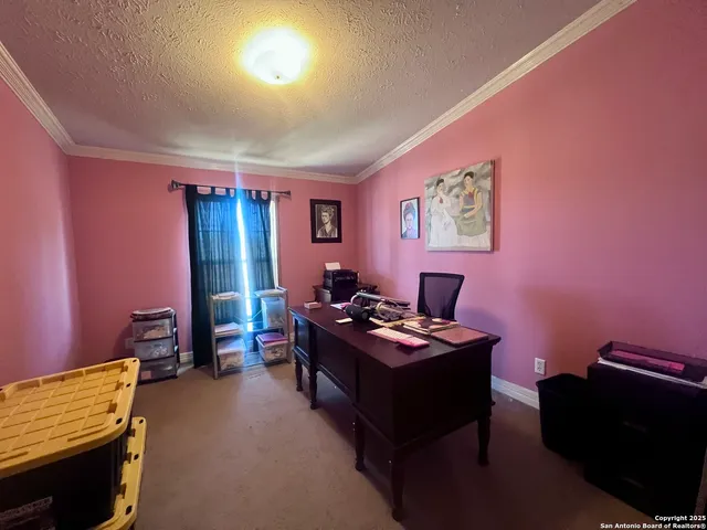 a backyard of a house with plants and trees