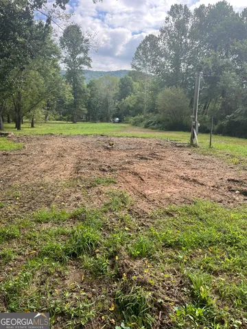 a view of a field with trees in the background