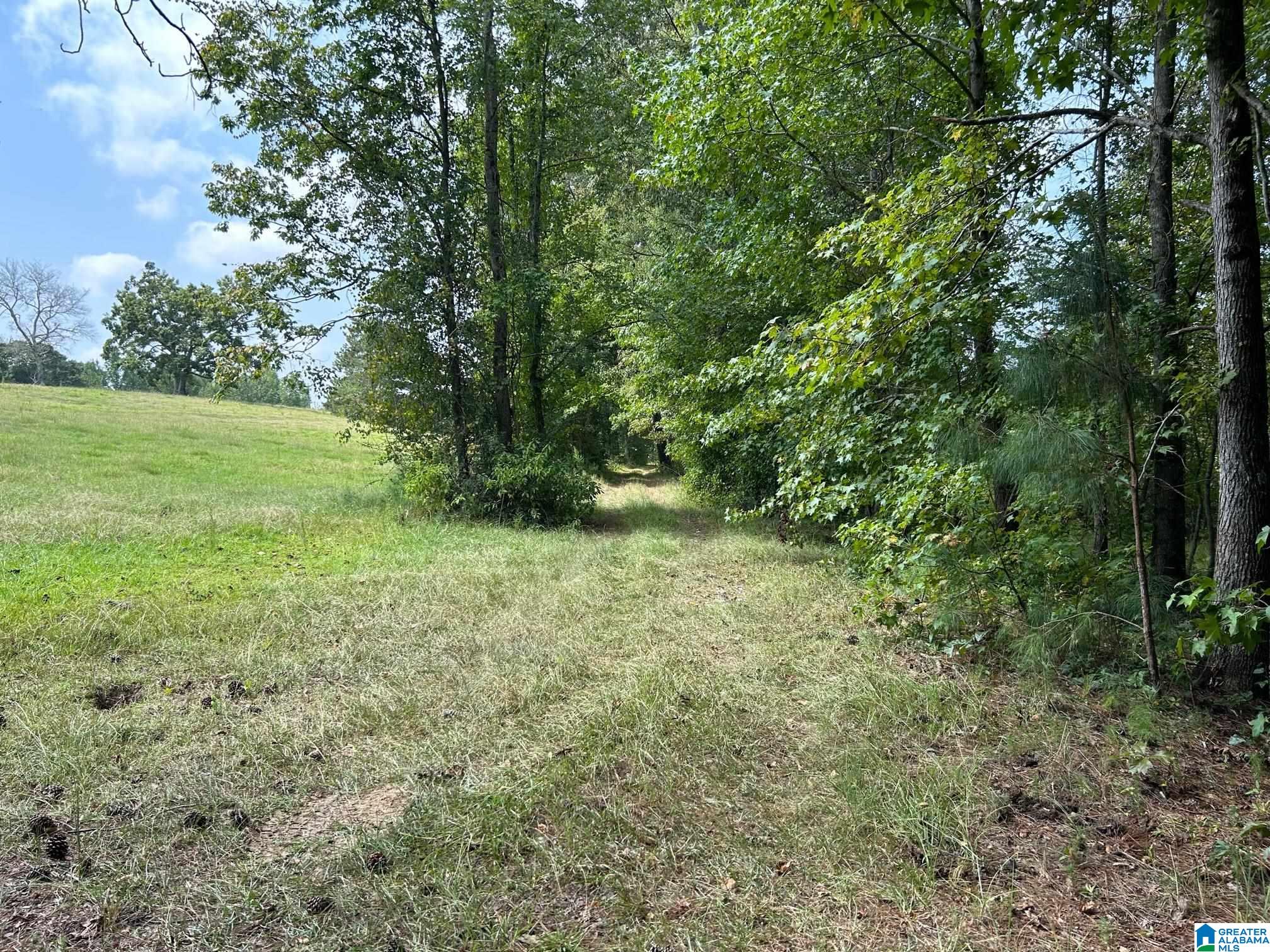 3300 Floyd Road Wellington, AL 36279 - Photo 7 of 11