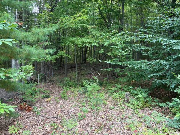 $69,500 | 62 North 14th Avenue, Shelby, MI 49455
