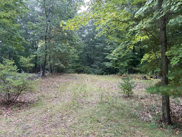 $69,500 | 62 North 14th Avenue, Shelby, MI 49455