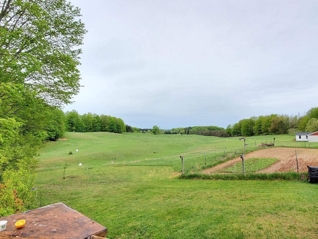 173 No 31 Road Cadillac, MI 49601 - Photo 5 of 17