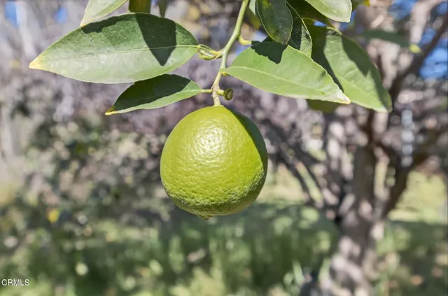 $859,000 | 7451 Marmota Court, Ventura, CA 93003