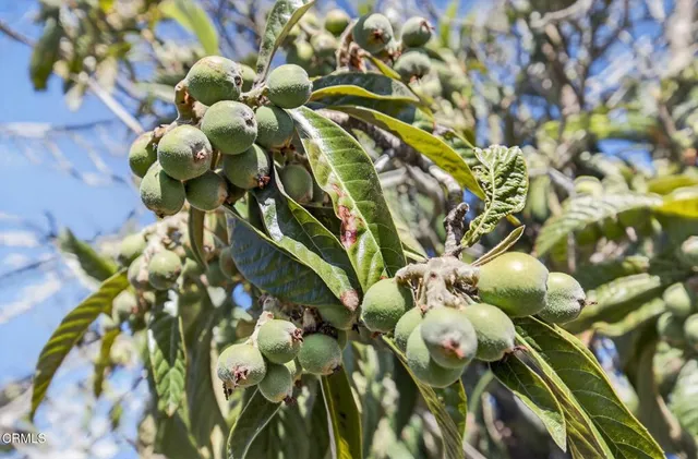 $859,000 | 7451 Marmota Court, Ventura, CA 93003