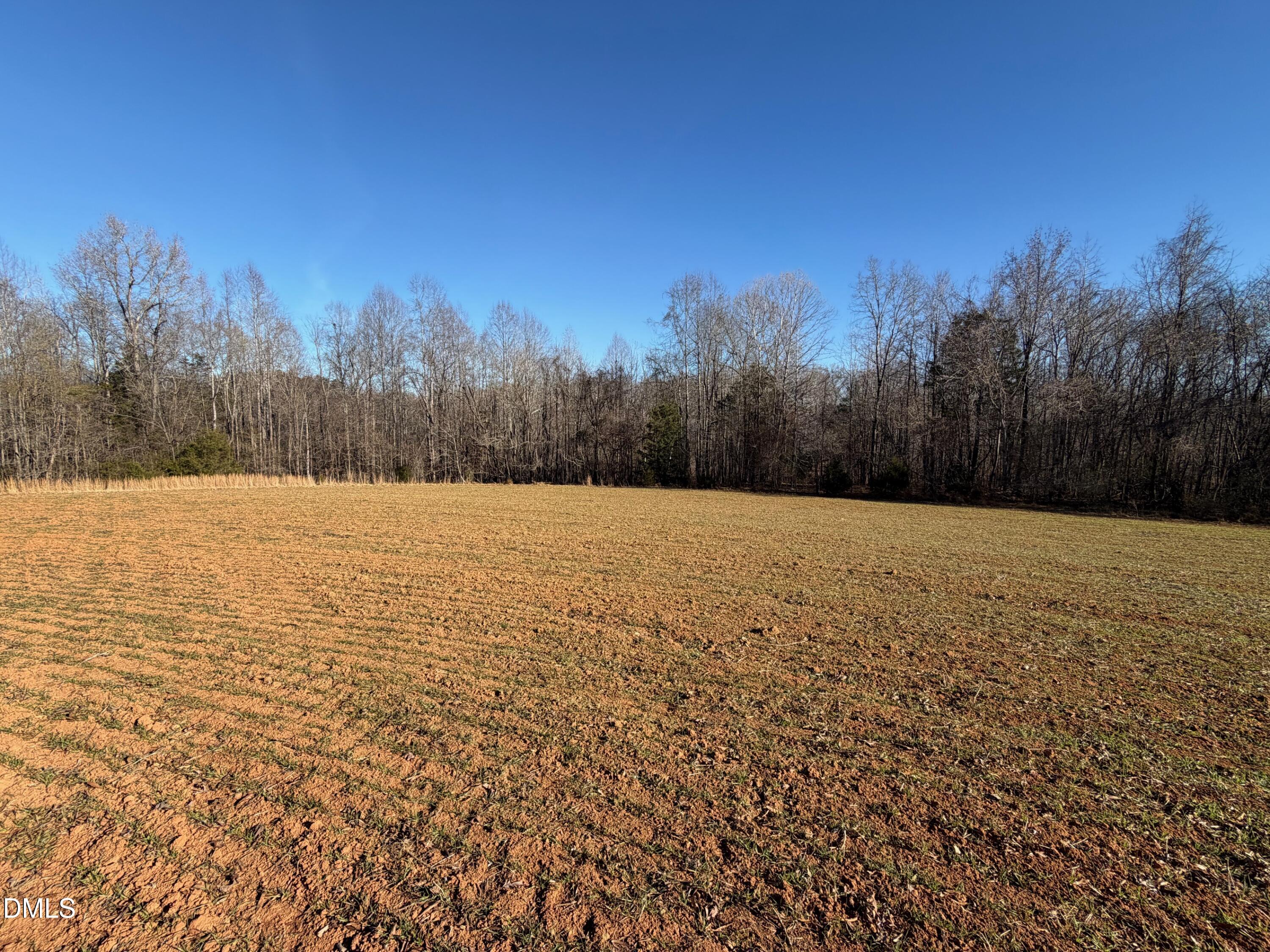 475 Lewis Winstead Lp Road Roxboro, NC 27574 - Photo 14 of 17