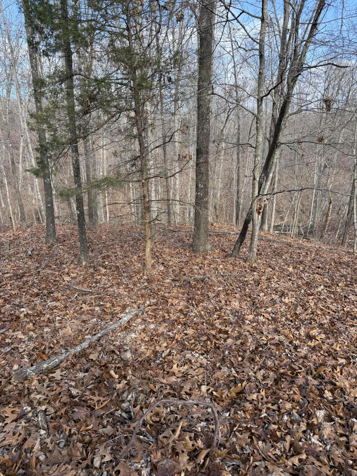 0 Varvel Road Willow Springs, MO 65793 - Photo 27 of 62 IMG_0790