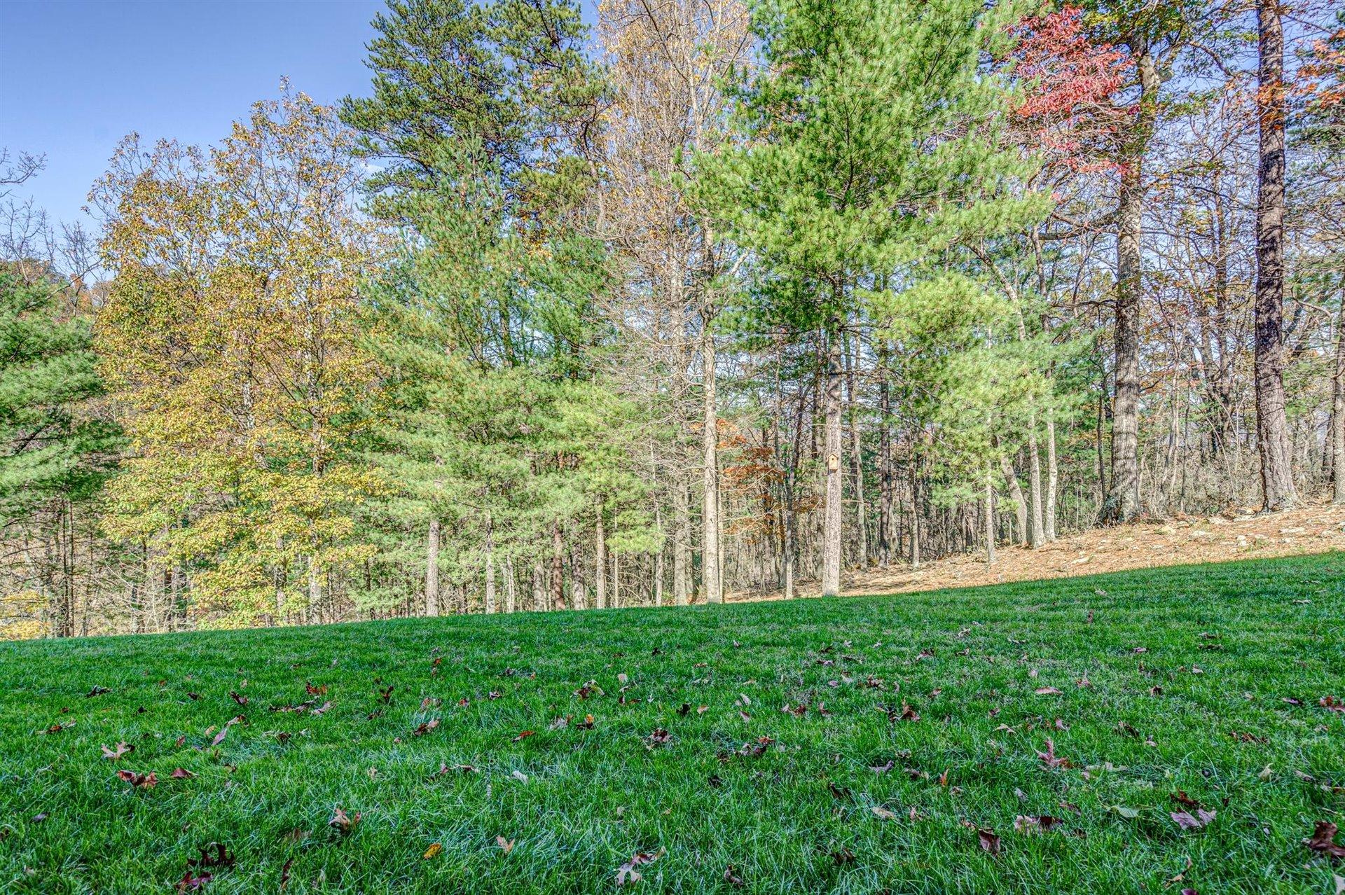 6989 Fairway Ridge Road Salem, VA 24153 - Photo 49 of 51 a view of yard with green space