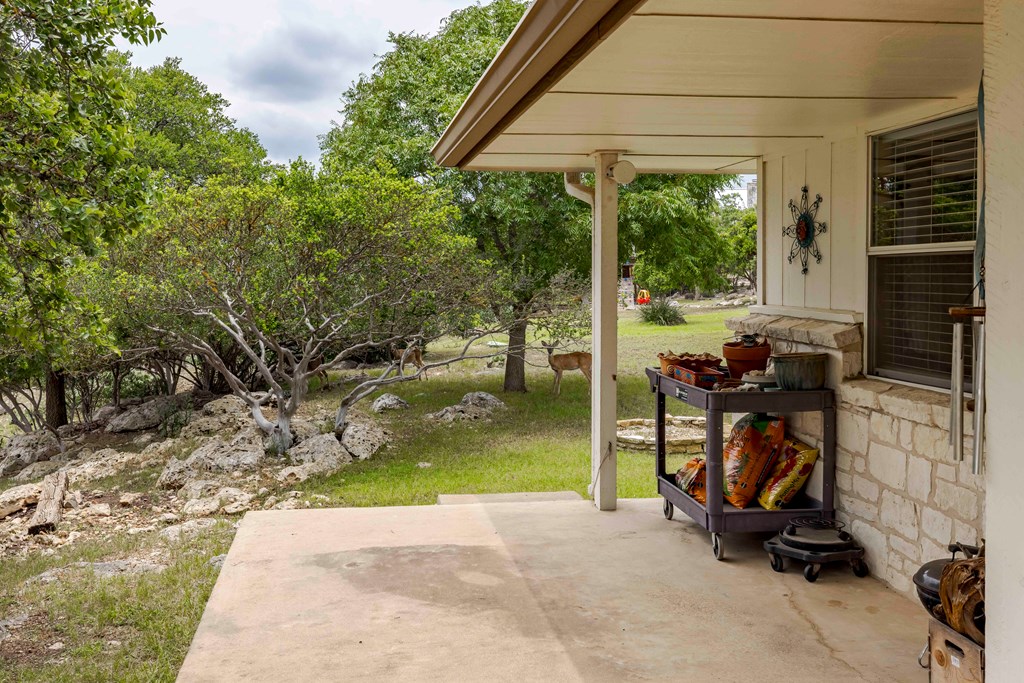 116 Ridge Road West Ingram, TX 78025 - Photo 38 of 65 a view of backyard with wheel chair and potted plants