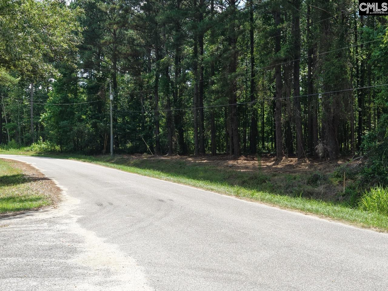 0 Peace Lane Bowman, SC 29018 - Photo 2 of 13