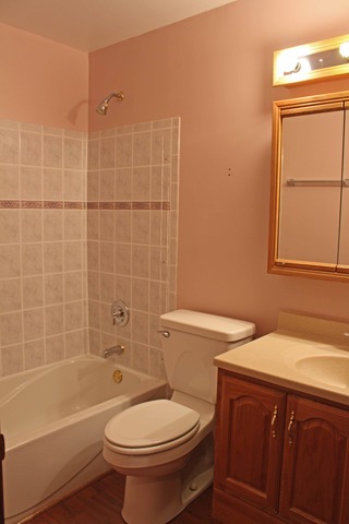 1172 Cactus Trail Carol Stream, IL 60188 - Photo 12 of 19