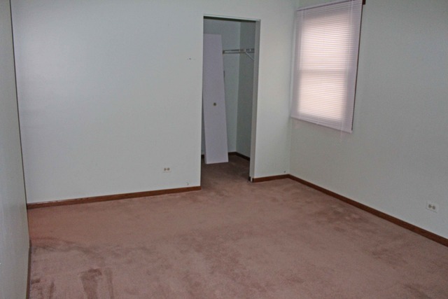 1172 Cactus Trail Carol Stream, IL 60188 - Photo 15 of 19