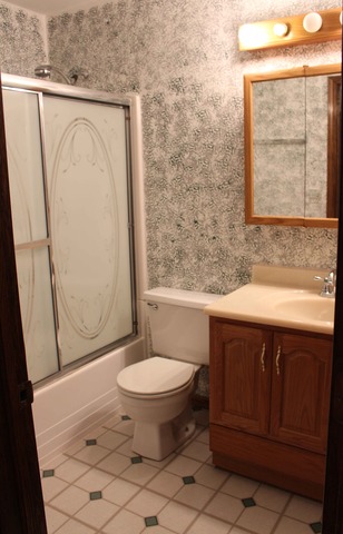 1172 Cactus Trail Carol Stream, IL 60188 - Photo 16 of 19