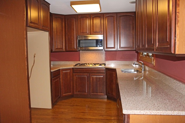 1172 Cactus Trail Carol Stream, IL 60188 - Photo 6 of 19
