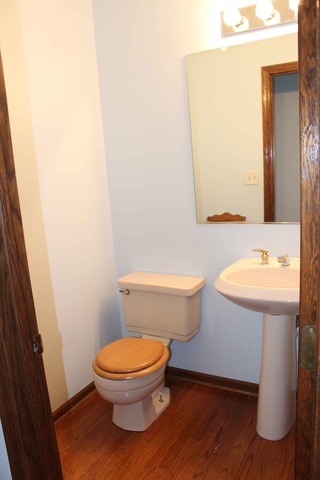 1172 Cactus Trail Carol Stream, IL 60188 - Photo 10 of 19