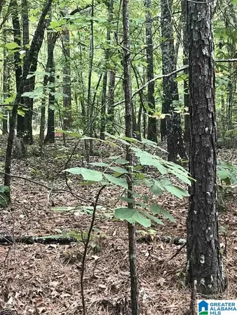 $15,000 | Lakeside Lane, Unit 23, Alpine, AL 35014