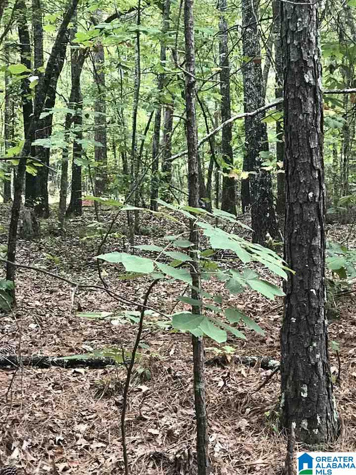 Lakeside Lane, Unit 23 Alpine, AL 35014 - Photo 1 of 1