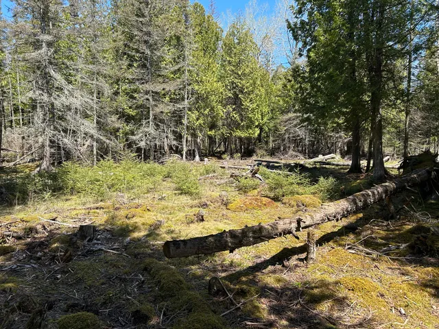 $549,900 | 118 South Cream City Point Road, Drummond Island, MI 49726