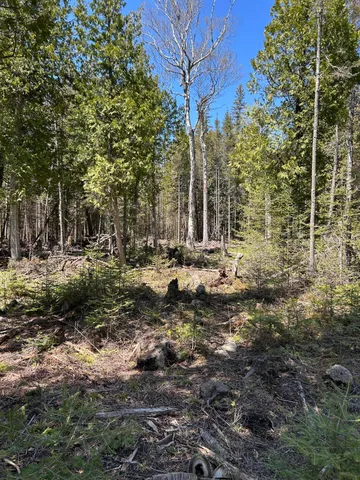 $549,900 | 118 South Cream City Point Road, Drummond Island, MI 49726