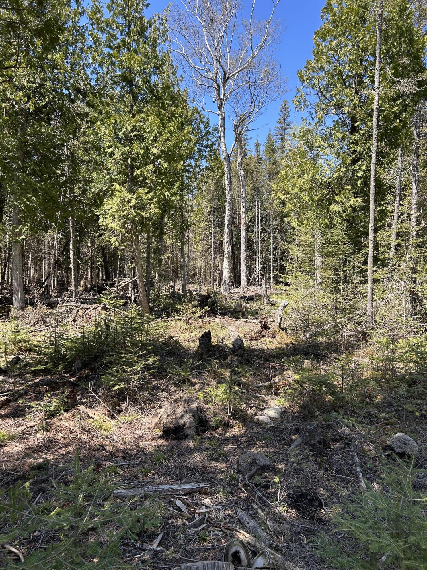 118 South Cream City Point Road Drummond Island, MI 49726 - Photo 13 of 31 IMG_1513