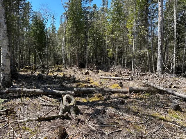 $549,900 | 118 South Cream City Point Road, Drummond Island, MI 49726