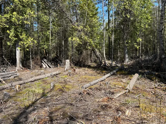 $549,900 | 118 South Cream City Point Road, Drummond Island, MI 49726